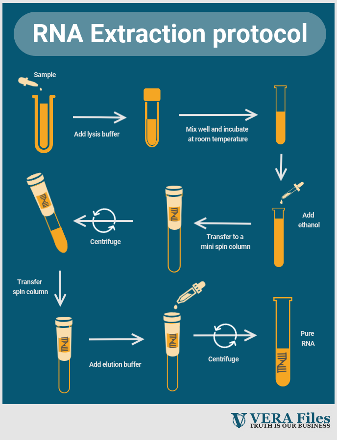 RNA Extraction protocol