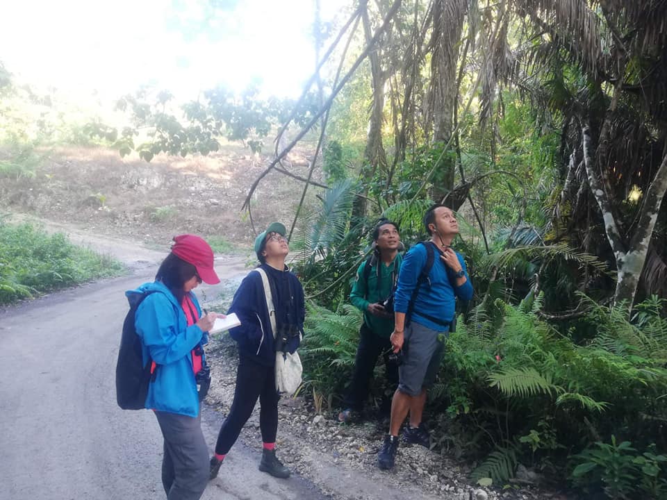 Songbirds sing again in protected forest on Cebu island - VERA Files