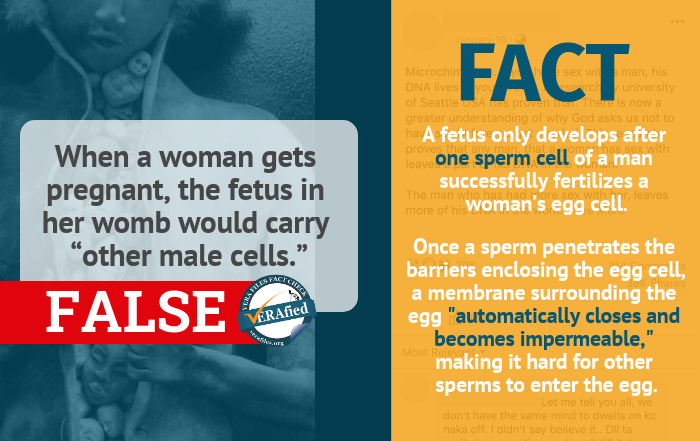 Claim 3: When a woman gets pregnant, the fetus in her womb would carry “other male cells.”