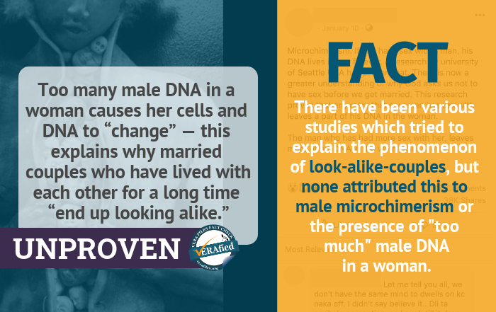 Claim 7: Too many male DNA in a woman causes her cells and DNA to “change” -- this explains why married couples who have lived with each other for a long time “end up looking alike.”