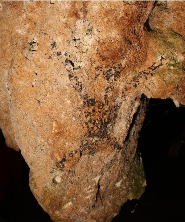 First directly dated human figure in Peñablanca Cave. Image courtesy of National Museum Philippines