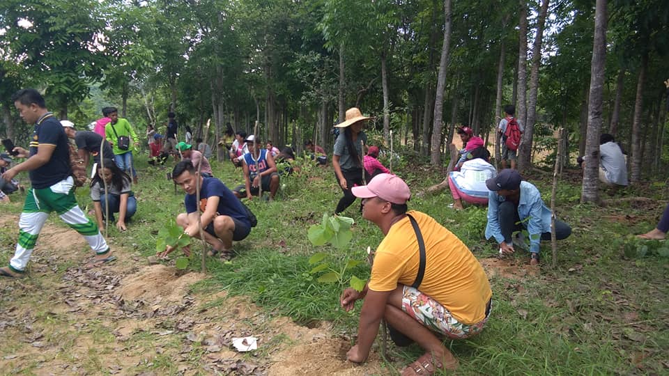 Tree-planting volunteers for reforestation in progress activity.jpg