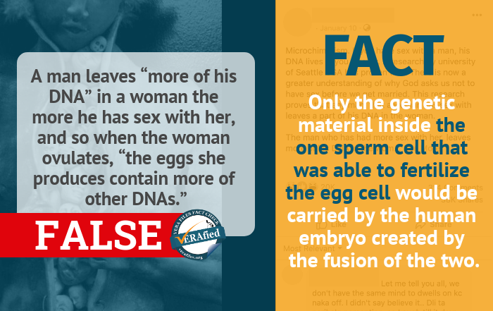 Claim 4: A man leaves “more of his DNA” in a woman the more he has sex with her, and so when the woman ovulates, “the eggs she produces contain more of other DNAs.”