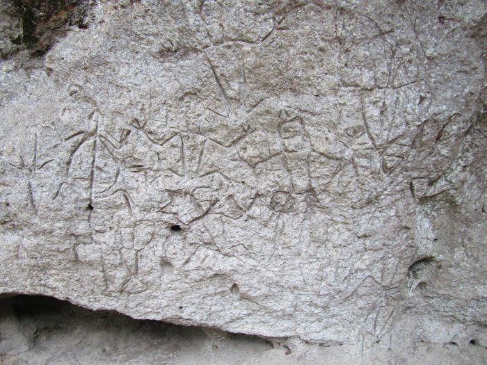 Close-up of Angono-Binangonan Petroglyphs. Image courtesy of National Museum Philippines
