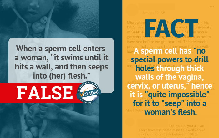 Claim 5: When a sperm cell enters a woman, “it swims until it hits a wall, and then seeps into [her] flesh.”
